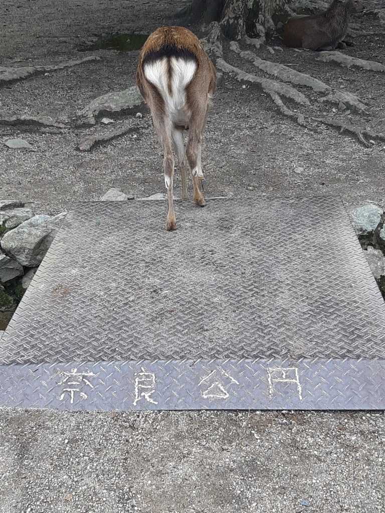 20241029_142507.jpg